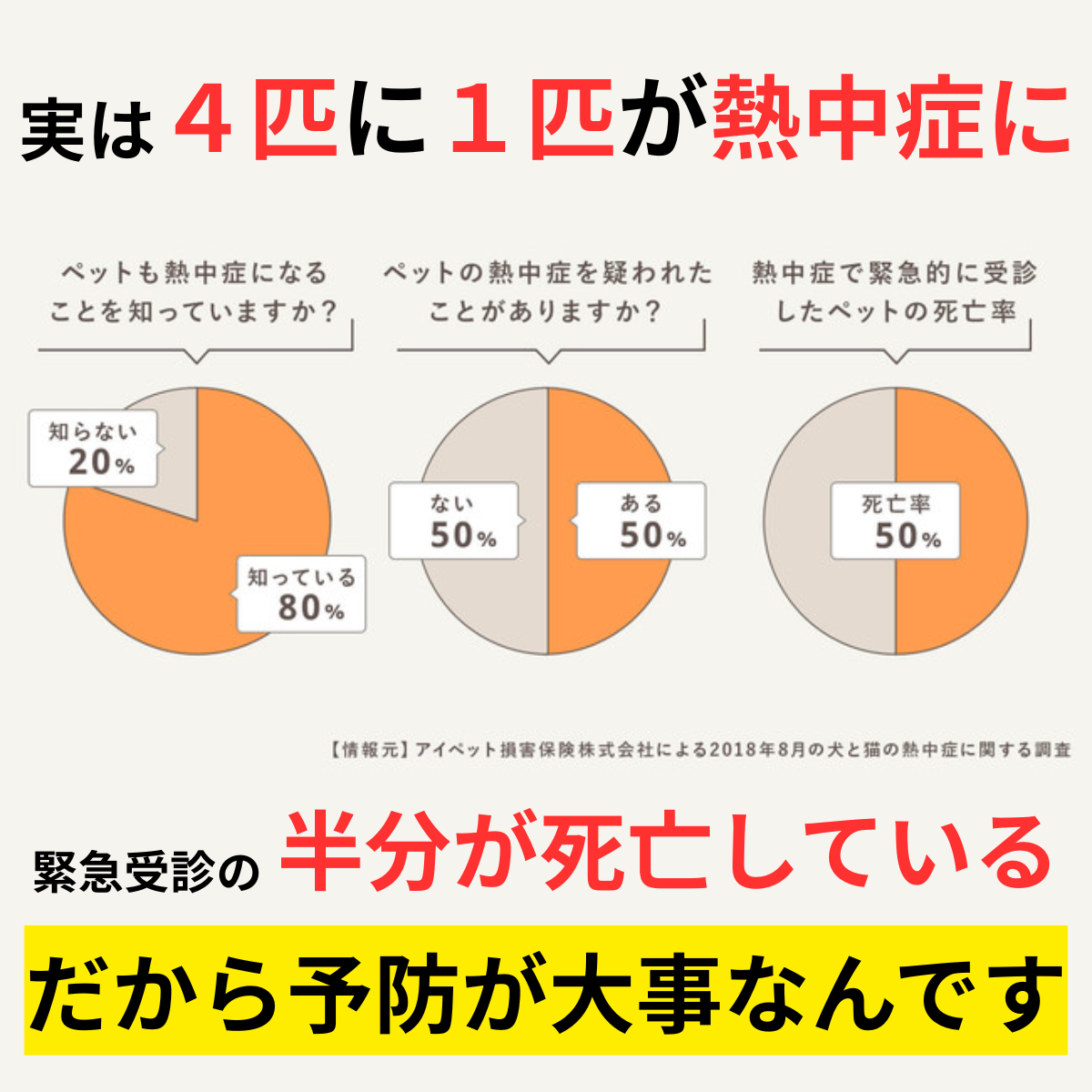 【接触冷感】ペット ひんやりジェルマット 犬・猫用 防水・かじり対策 夏用クールマット