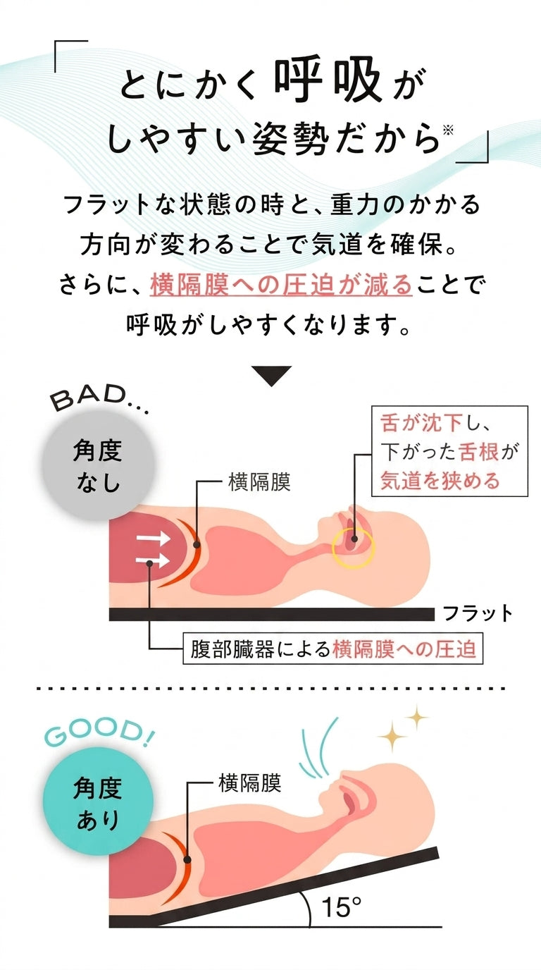 角度なし（フラット）と角度あり15°での横隔膜・気道の違い